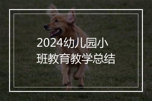 2024幼儿园小班教育教学总结
