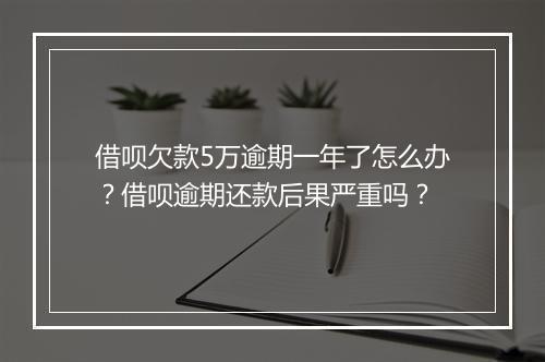 借呗欠款5万逾期一年了怎么办？借呗逾期还款后果严重吗？