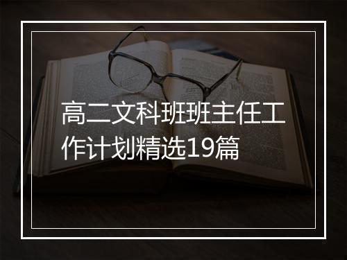高二文科班班主任工作计划精选19篇