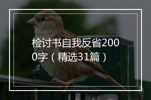 检讨书自我反省2000字（精选31篇）