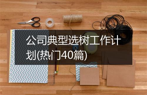 公司典型选树工作计划(热门40篇)