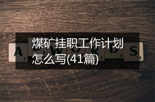 煤矿挂职工作计划怎么写(41篇)