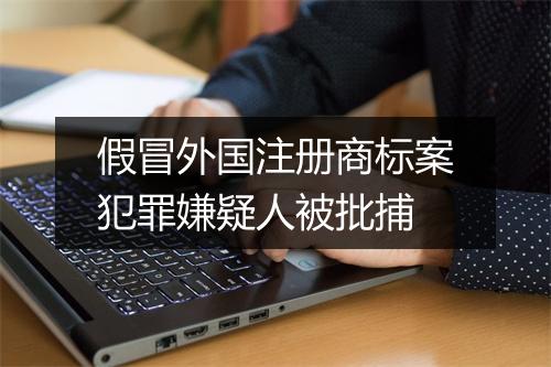 假冒外国注册商标案犯罪嫌疑人被批捕