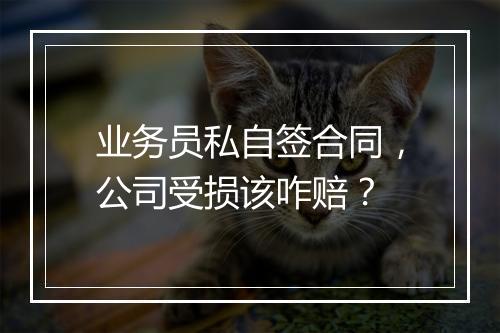 业务员私自签合同，公司受损该咋赔？