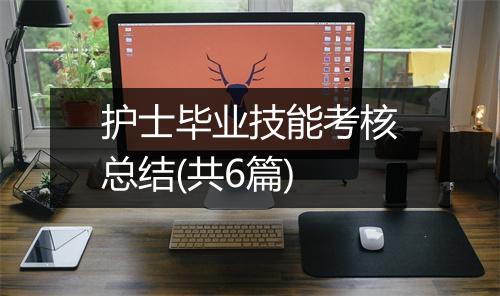 护士毕业技能考核总结(共6篇)