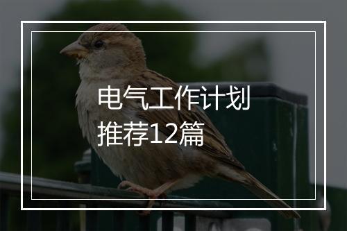 电气工作计划推荐12篇