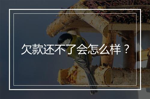 欠款还不了会怎么样？