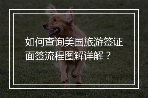 如何查询美国旅游签证面签流程图解详解？