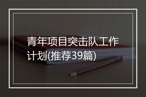 青年项目突击队工作计划(推荐39篇)