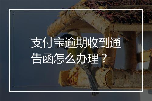 支付宝逾期收到通告函怎么办理？