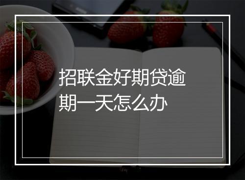 招联金好期贷逾期一天怎么办