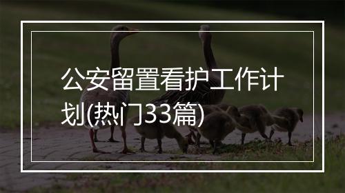 公安留置看护工作计划(热门33篇)