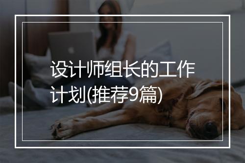设计师组长的工作计划(推荐9篇)