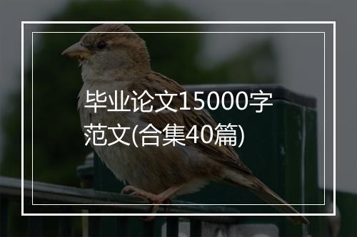 毕业论文15000字范文(合集40篇)