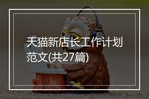 天猫新店长工作计划范文(共27篇)