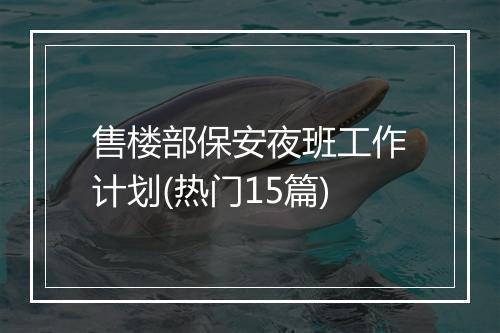售楼部保安夜班工作计划(热门15篇)