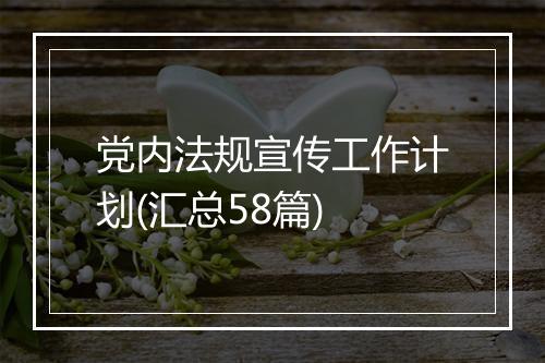 党内法规宣传工作计划(汇总58篇)