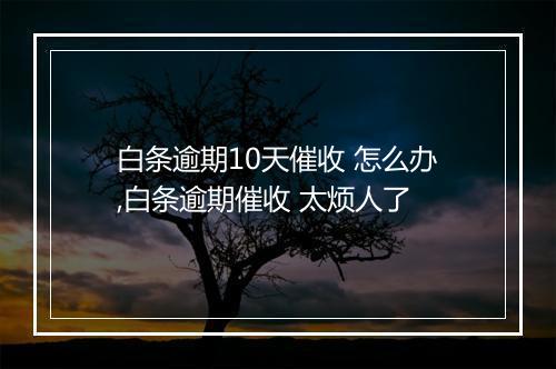 白条逾期10天催收 怎么办,白条逾期催收 太烦人了