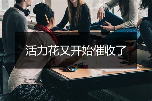 活力花又开始催收了