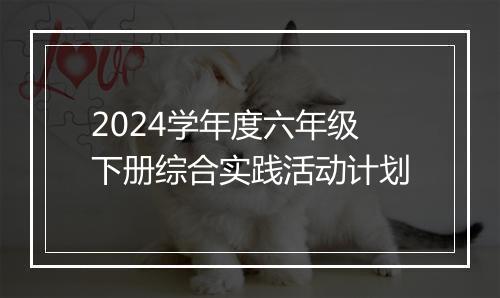 2024学年度六年级下册综合实践活动计划