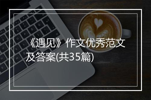 《遇见》作文优秀范文及答案(共35篇)