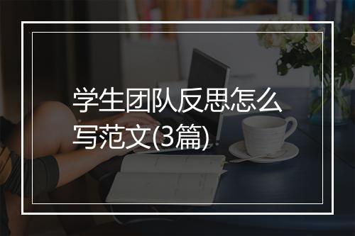 学生团队反思怎么写范文(3篇)