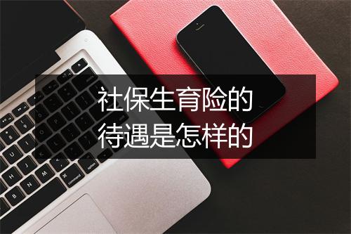 社保生育险的待遇是怎样的