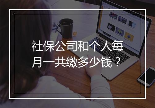 社保公司和个人每月一共缴多少钱？