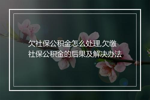 欠社保公积金怎么处理,欠缴社保公积金的后果及解决办法