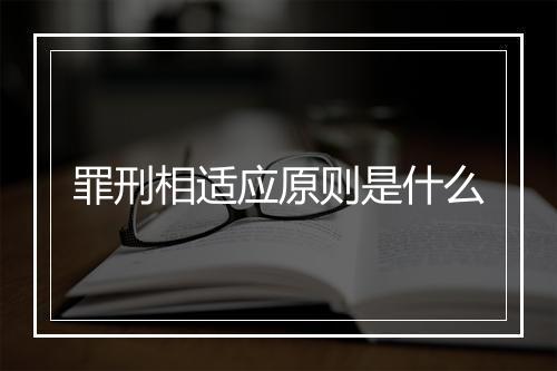 罪刑相适应原则是什么