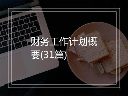 财务工作计划概要(31篇)