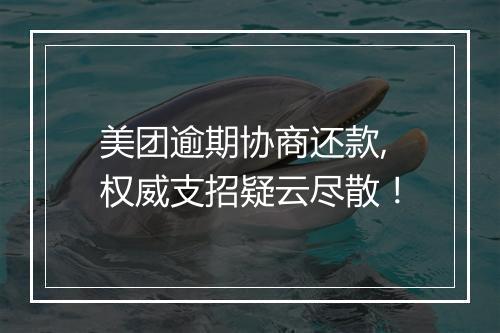 美团逾期协商还款,权威支招疑云尽散！