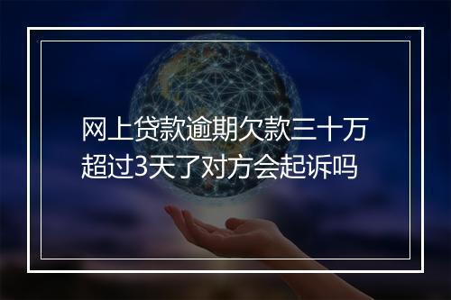 网上贷款逾期欠款三十万超过3天了对方会起诉吗