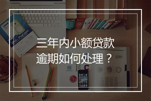三年内小额贷款逾期如何处理？