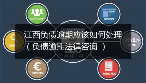 江西负债逾期应该如何处理（负债逾期法律咨询 ）