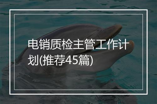 电销质检主管工作计划(推荐45篇)