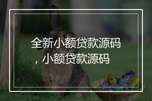 全新小额贷款源码，小额贷款源码