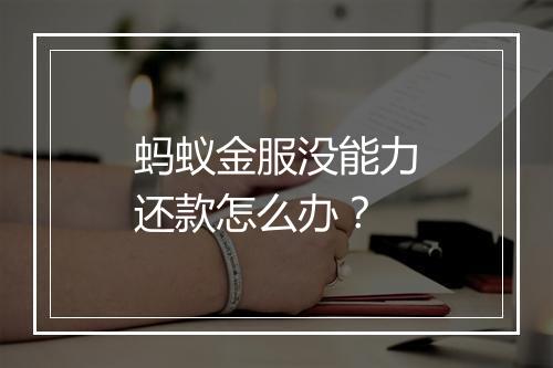 蚂蚁金服没能力还款怎么办？