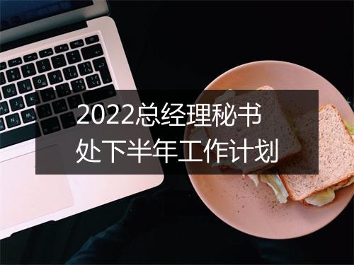 2022总经理秘书处下半年工作计划