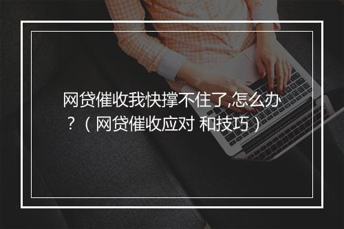 网贷催收我快撑不住了,怎么办？（网贷催收应对 和技巧）