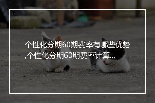 个性化分期60期费率有哪些优势,个性化分期60期费率计算公式
