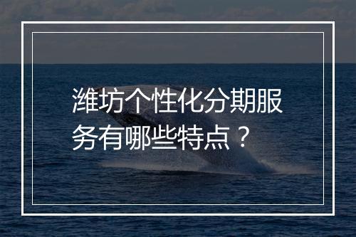潍坊个性化分期服务有哪些特点？