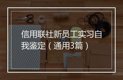 信用联社新员工实习自我鉴定（通用3篇）