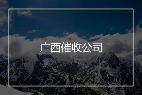 广西催收公司
