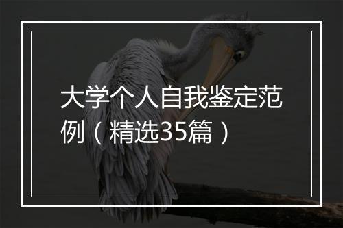 大学个人自我鉴定范例（精选35篇）