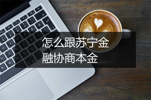 怎么跟苏宁金融协商本金