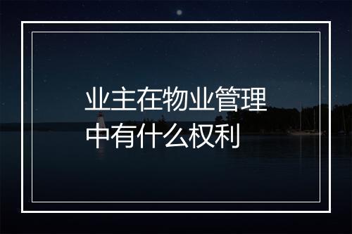 业主在物业管理中有什么权利