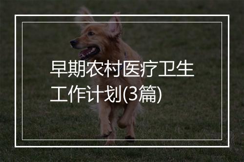 早期农村医疗卫生工作计划(3篇)