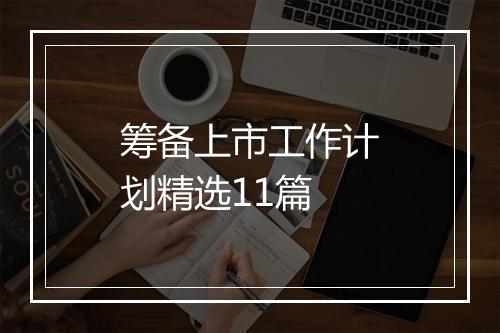 筹备上市工作计划精选11篇