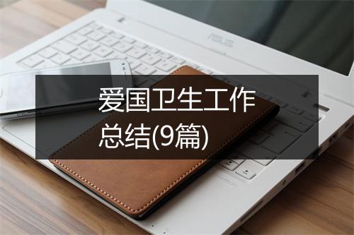 爱国卫生工作总结(9篇)